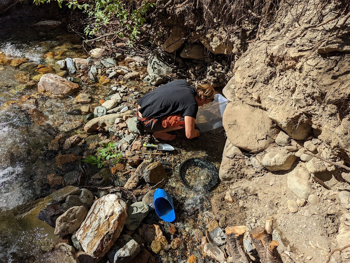 <span style="font-weight: bold;">GOLD PANNING WEEKENDS <br></span>